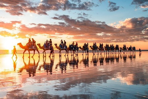 1 Hour Broome Sunset Camel Tour - Tourism Caloundra 9