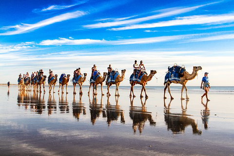 1 Hour Broome Sunset Camel Tour - Tourism Caloundra 6