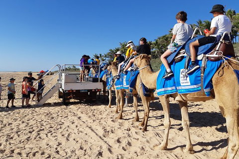 1 Hour Broome Sunset Camel Tour - Tourism Caloundra 3