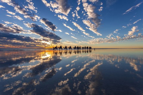 1 Hour Broome Sunset Camel Tour - Tourism Caloundra 5