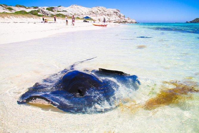 Margaret River WA Tourism Caloundra