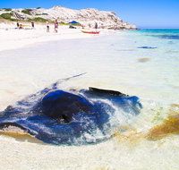 Private Custom Margaret River Tour - Tourism Caloundra