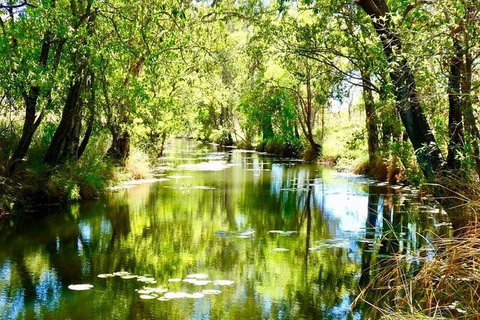 Gorgeous Gorges Tour - Windjana & Bell Gorge, Mt Hart, Cape Leveque - Tourism Caloundra 8