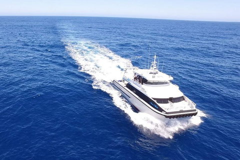 Dunsborough Whale Watching Eco Tour - Tourism Caloundra 8