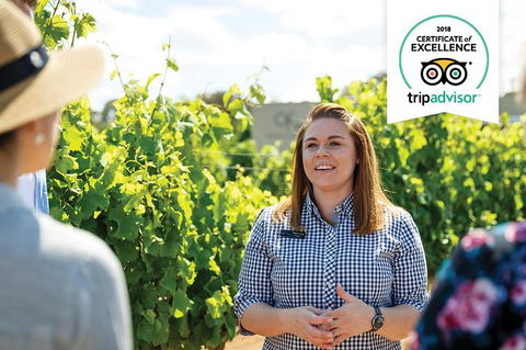 Swan Valley Wine Adventure - Half Day Premium Boutique Winery Tour - Tourism Caloundra 0