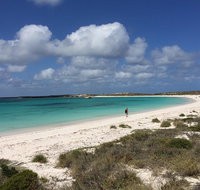 Abrolhos Island Half Day Fly and Flipper - Tourism Caloundra
