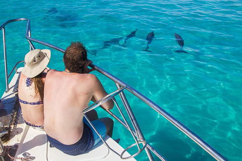 Turtle Eco Adventure Tour In Exmouth - Tourism Caloundra 7
