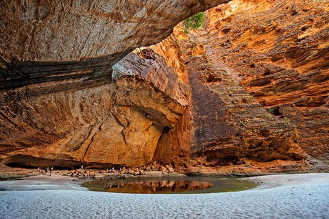 Bungle Bungle Flight, Domes & Cathedral Gorge Guided Walk From Kununurra - Tourism Caloundra 6