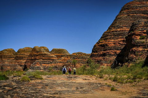 Bungle Bungle Flight, Domes & Cathedral Gorge Guided Walk From Kununurra - Tourism Caloundra 3
