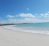 Shipwreck Special Nature Tour/Half Day Tour - Tourism Caloundra