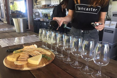 Half Day Swan Valley Wine Tour - Tourism Caloundra 1