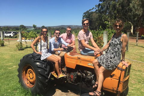 Half Day Swan Valley Wine Tour - Tourism Caloundra 6