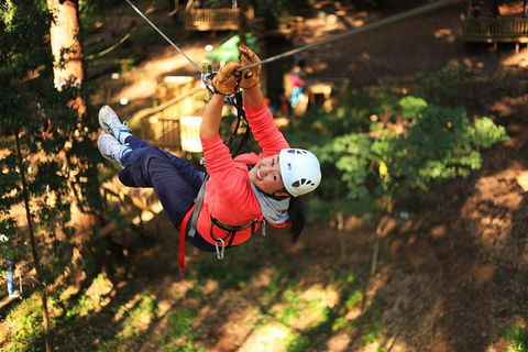 Trees Adventure Lane Poole Park - Treetop & Zipline Experience - Tourism Caloundra 0