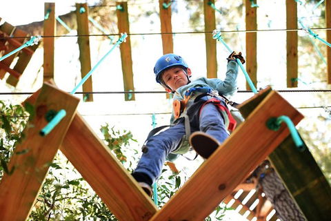 Trees Adventure Lane Poole Park - Treetop & Zipline Experience - Tourism Caloundra 1
