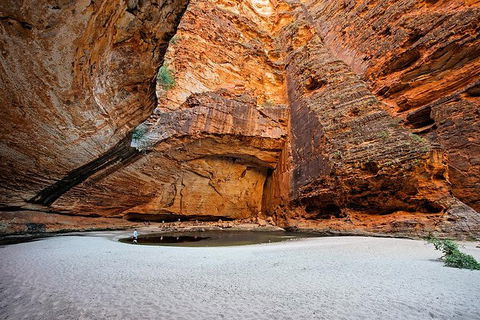 Bungle Bungle Scenic Flights, Domes & Cathedral Gorge Walk - Tourism Caloundra 0