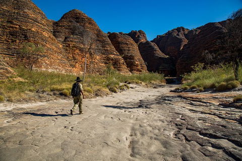 Bungle Bungle Scenic Flights, Domes & Cathedral Gorge Walk - Tourism Caloundra 7