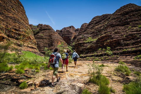 Bungle Bungle Scenic Flights, Domes & Cathedral Gorge Walk - Tourism Caloundra 4