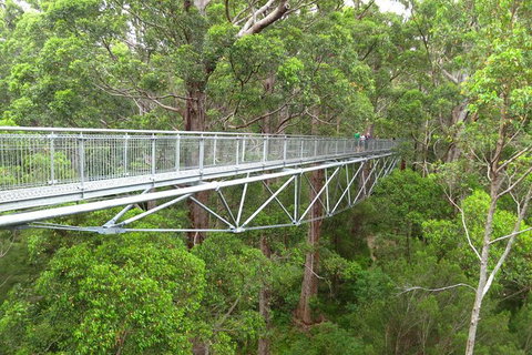 Albany Southwest Wilderness Day Tour - Fly From Perth - Tourism Caloundra 2