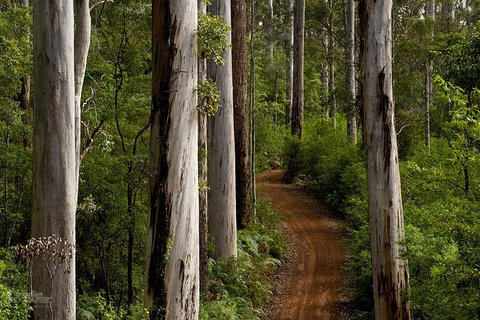 Albany Southwest Wilderness Day Tour - Fly From Perth - Tourism Caloundra 6