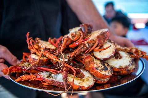 Mandurah Wild Seafood Adventure Cruise - Tourism Caloundra 1