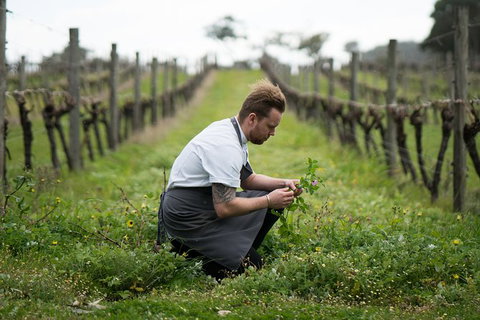 Vasse Felix Epicurean Tour And Tasting Experience With 5 Course Lunch - Tourism Caloundra 9