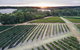 Vasse Felix Epicurean Tour And Tasting Experience With 5 Course Lunch - thumb 7