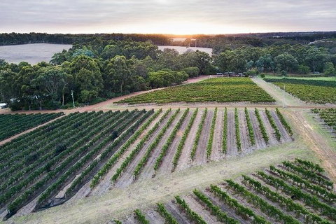 Vasse Felix Epicurean Tour And Tasting Experience With 5 Course Lunch - Tourism Caloundra 7