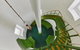 Cape Naturaliste Lighthouse Fully-guided Tour - thumb 9