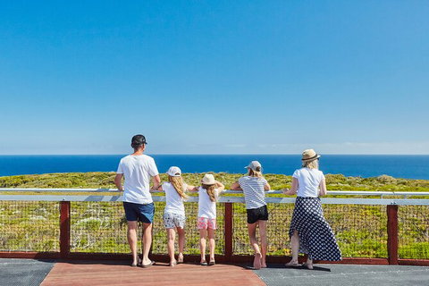 Cape Naturaliste Lighthouse Fully-guided Tour - Tourism Caloundra 3