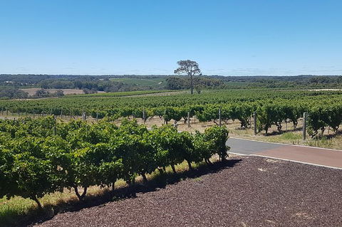 Full Day Winery And Brewery Tour In A Classic Silver Spirit Rolls Royce - Tourism Caloundra 5
