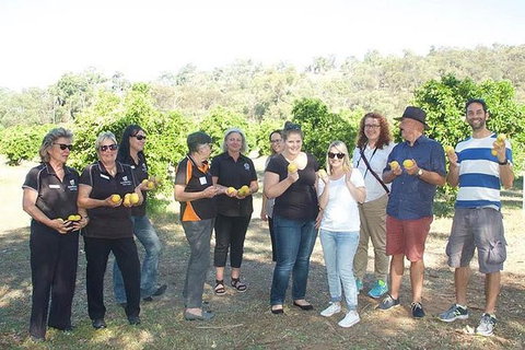 Chittering Valley Back To Nature Tour - Tourism Caloundra 0