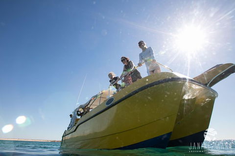 Turtle Tours On The Ningaloo Reef, Exmouth. 1/2 Day Cruise. - Tourism Caloundra 7