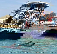 Mandurah Dolphin and Scenic Marine Cruise - Tourism Caloundra