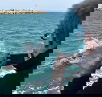 Mandurah Dolphin Island Adventure - Tourism Caloundra