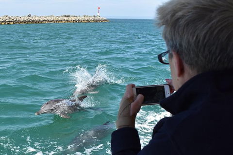Mandurah Dolphin Island Adventure - Tourism Caloundra 0