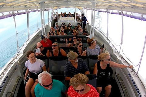 Mandurah Dolphin Island Adventure - Tourism Caloundra 1