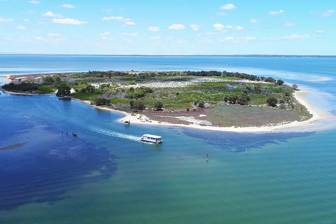 Mandurah Dolphin Island Adventure - Tourism Caloundra 8