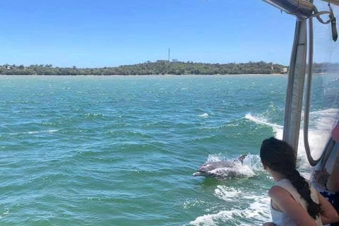 Mandurah Dolphin Island Adventure - Tourism Caloundra 9