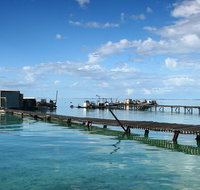 Full Day Guided Abrolhos Fly and Flipper Tour from Geraldton - Tourism Caloundra