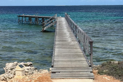 Abrolhos Flyover With Morning Tea On East Wallaby Island - Tourism Caloundra 1