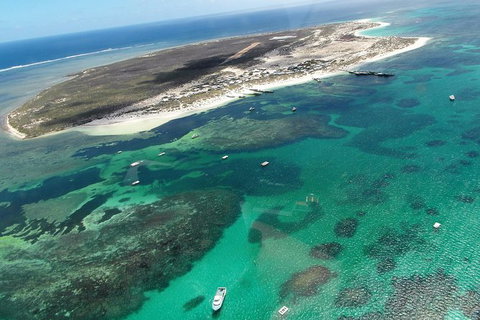 Abrolhos Flyover With Morning Tea On East Wallaby Island - Tourism Caloundra 0