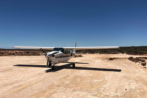 Kalbarri Gorges & West Coast - Ground & Air Tour - Tourism Caloundra 6