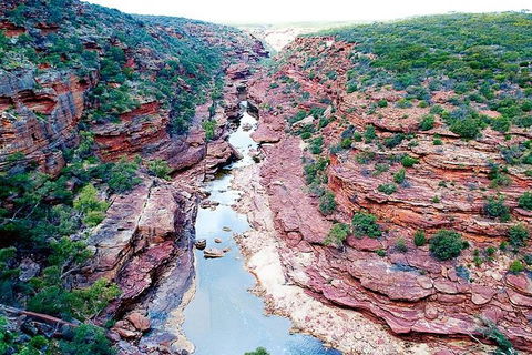 Kalbarri Gorges & West Coast - Ground & Air Tour - Tourism Caloundra 5