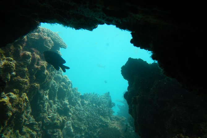 Waggrakine WA Tourism Caloundra