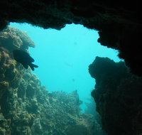 Half-Day Abrolhos Islands Shipwreck Air and Land Tour from Geraldton - Tourism Caloundra