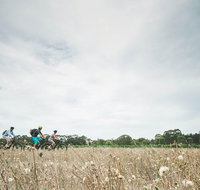 Electric Bike Winery and Brewery Tour - Tourism Caloundra