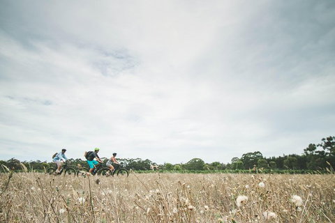 Electric Bike Winery And Brewery Tour - Tourism Caloundra 0