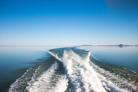 Lake Argyle Best Of Lake Argyle Cruise Departing Kununurra - Tourism Caloundra 5