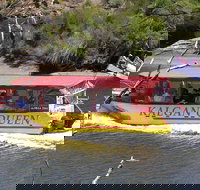 Kalgan Queen Scenic Cruises a four hour sheltered water wildlife tour daily fun. - Tourism Caloundra