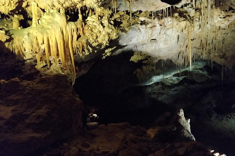 The Pinnacle Adventure Tour - Tourism Caloundra 0